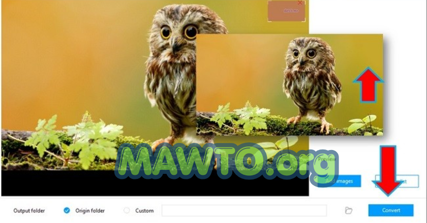 Apowersoft Watermark Remover Free Download
