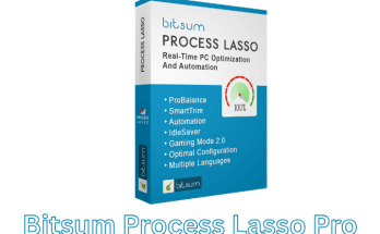 Bitsum Process Lasso Pro