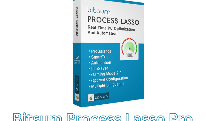 Bitsum Process Lasso Pro