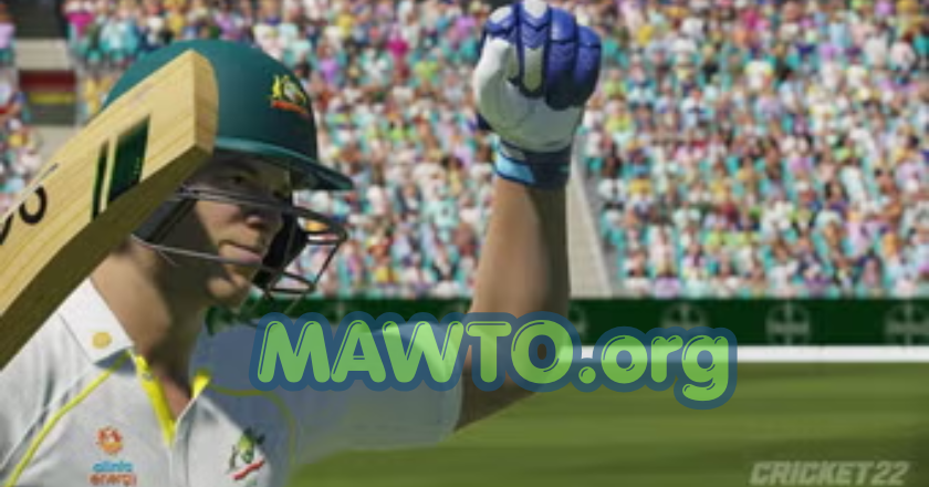 Cricket 22