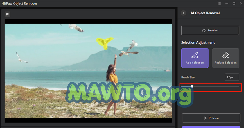 HitPaw Video Object Remover Free