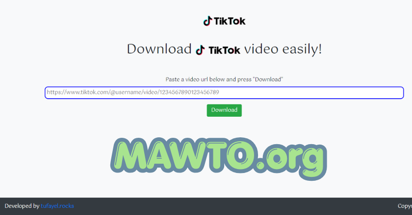 TikTok Downloader Free