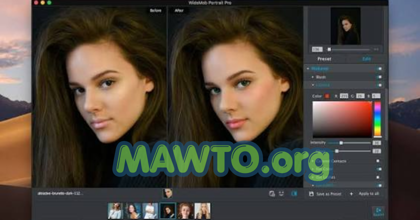 WidsMob Portrait Pro Free Pc