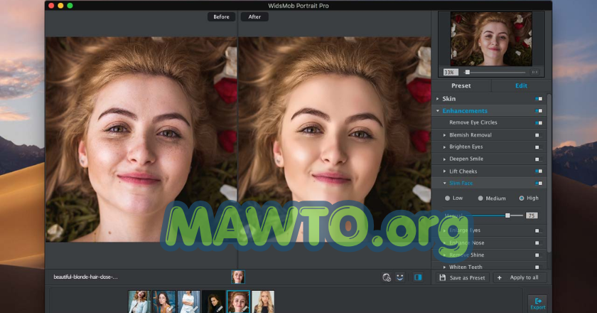 WidsMob Portrait Pro Free